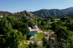 Zen Zion Evergreen - Image 2
