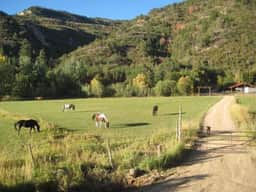 HappyOur Ranch