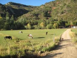 HappyOur Ranch