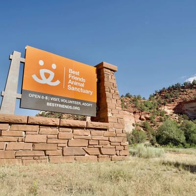 National Park Nest