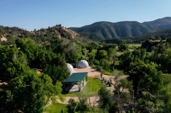 Zen Zion Evergreen - Image 2