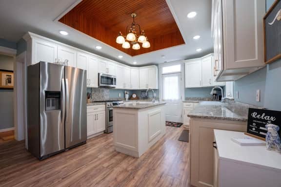 Southern Elm - Image 5