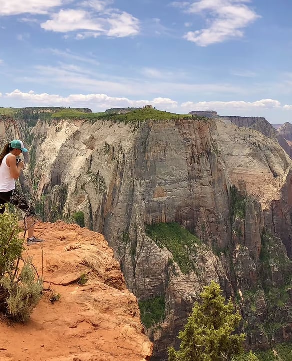 Observation Point Zion National Park